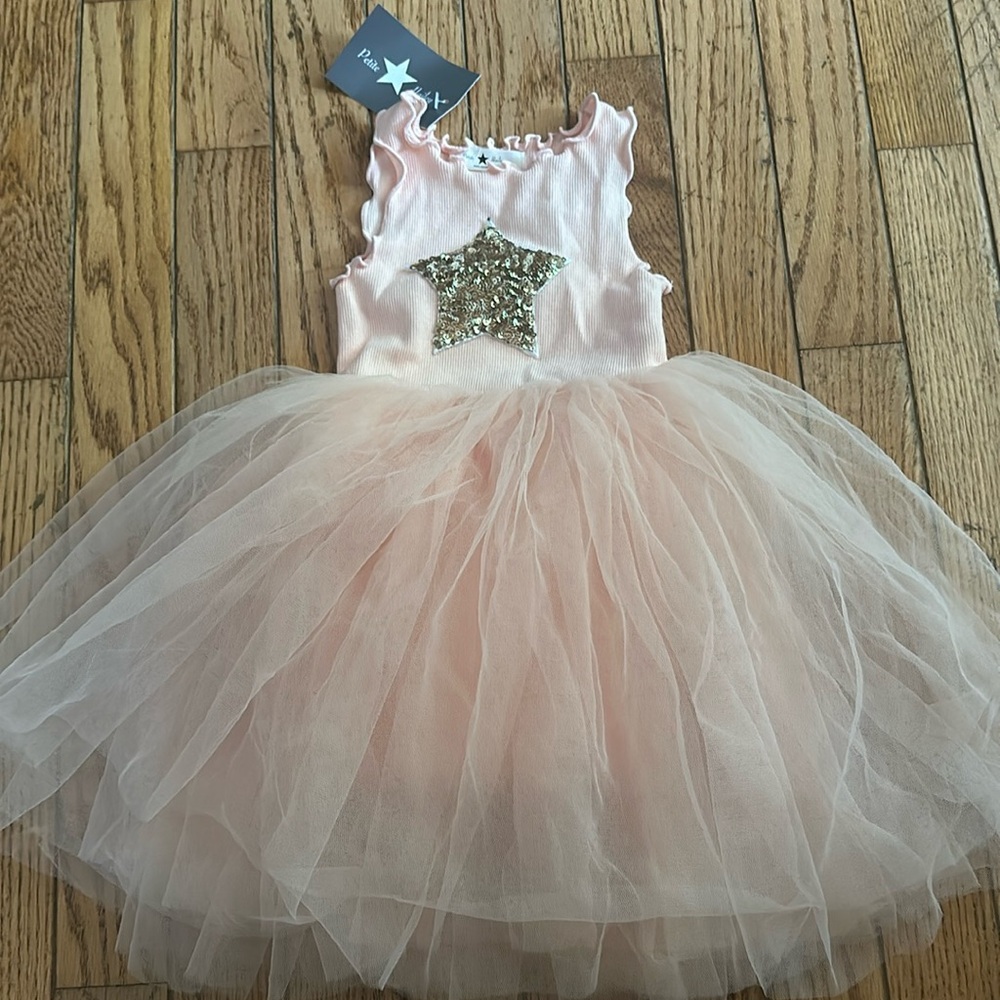 NWT Petite Hailey tutu dress pink